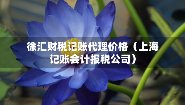 徐匯財稅記賬代理價格（上海記賬會計報稅公司）