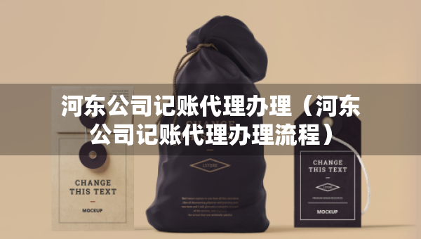 河東公司記賬代理辦理（河東公司記賬代理辦理流程）