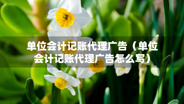 單位會(huì)計(jì)記賬代理廣告（單位會(huì)計(jì)記賬代理廣告怎么寫）