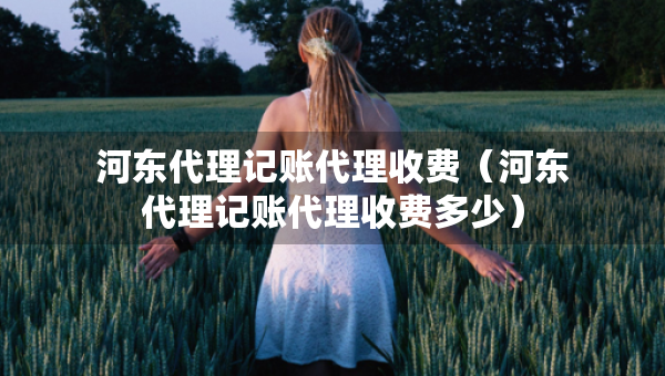 河?xùn)|代理記賬代理收費(fèi)（河?xùn)|代理記賬代理收費(fèi)多少）