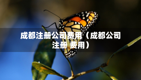 成都注冊公司費(fèi)用（成都公司注冊 費(fèi)用）