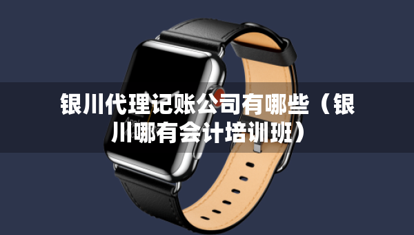 銀川代理記賬公司有哪些（銀川哪有會計培訓班）