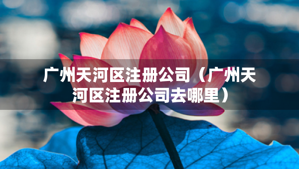 廣州天河區(qū)注冊公司（廣州天河區(qū)注冊公司去哪里）