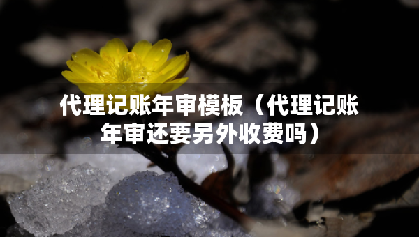 代理記賬年審模板（代理記賬年審還要另外收費嗎）