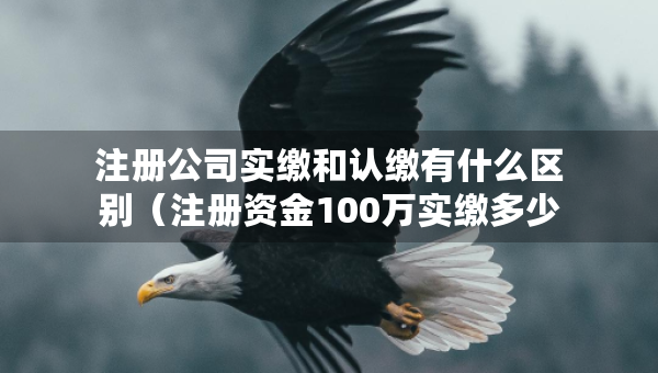 注冊(cè)公司實(shí)繳和認(rèn)繳有什么區(qū)別（注冊(cè)資金100萬實(shí)繳多少）