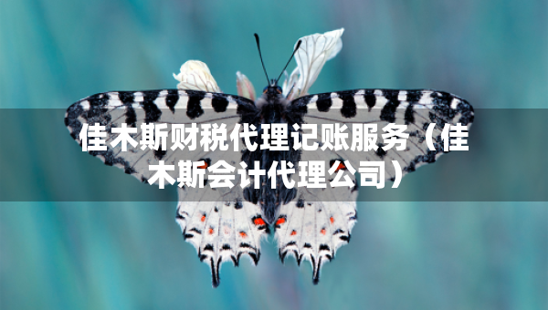 佳木斯財稅代理記賬服務(wù)（佳木斯會計代理公司）