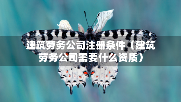 建筑勞務(wù)公司注冊(cè)條件（建筑勞務(wù)公司需要什么資質(zhì)）