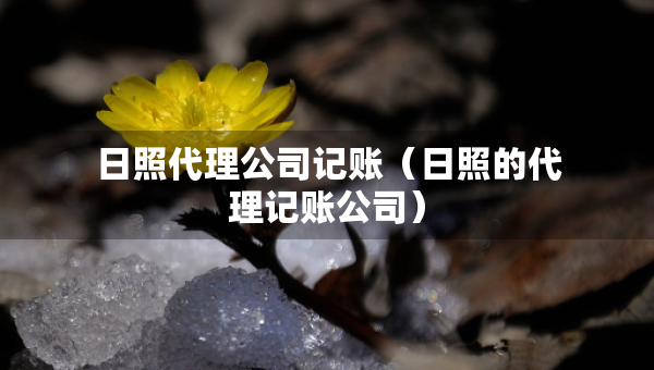 日照代理公司記賬（日照的代理記賬公司）