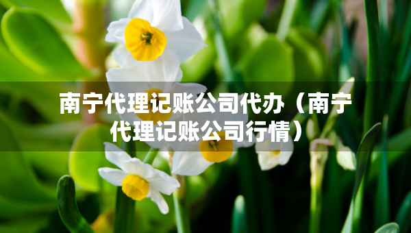 南寧代理記賬公司代辦（南寧代理記賬公司行情）