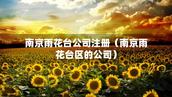南京雨花臺公司注冊（南京雨花臺區(qū)的公司）