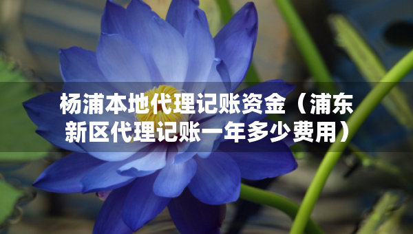 楊浦本地代理記賬資金（浦東新區(qū)代理記賬一年多少費(fèi)用）
