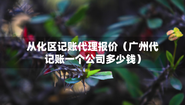 從化區(qū)記賬代理報(bào)價(jià)（廣州代記賬一個(gè)公司多少錢）
