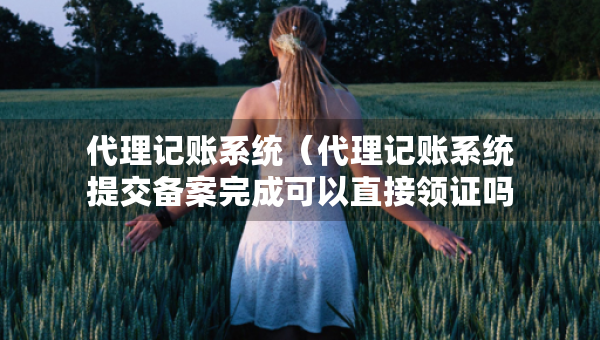 代理記賬系統(tǒng)（代理記賬系統(tǒng)提交備案完成可以直接領證嗎）