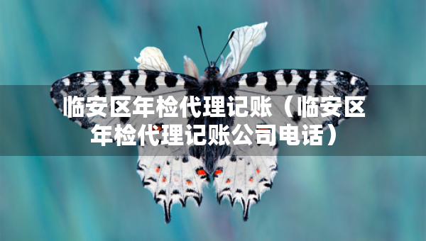 臨安區(qū)年檢代理記賬（臨安區(qū)年檢代理記賬公司電話）