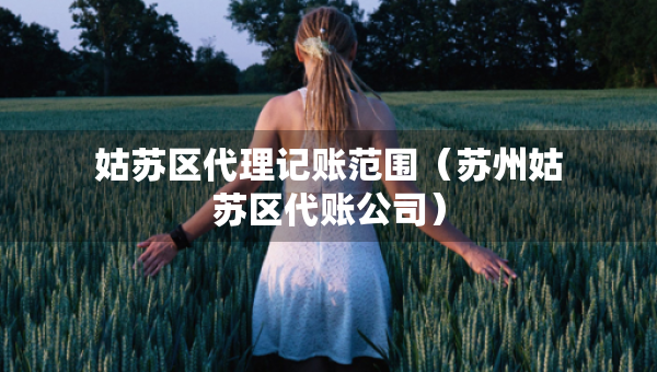 姑蘇區(qū)代理記賬范圍（蘇州姑蘇區(qū)代賬公司）