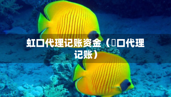 虹口代理記賬資金（硚口代理記賬）