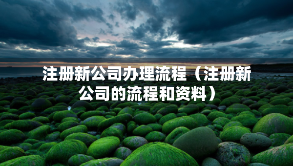 注冊新公司辦理流程（注冊新公司的流程和資料）