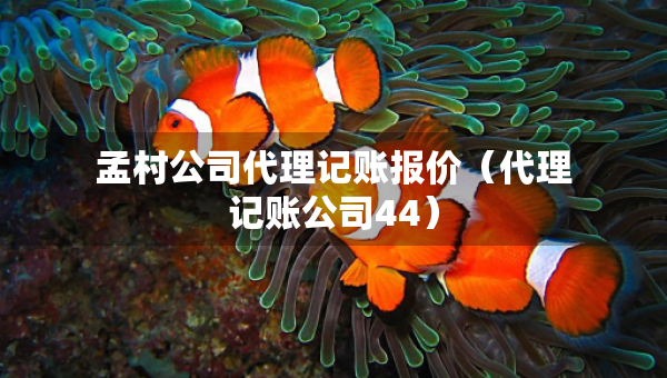 孟村公司代理記賬報價（代理記賬公司44）