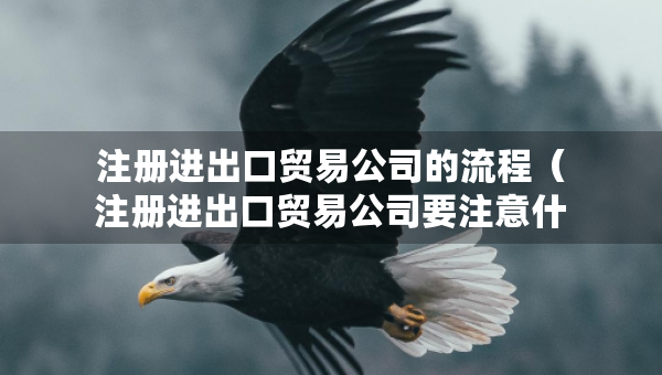 注冊(cè)進(jìn)出口貿(mào)易公司的流程（注冊(cè)進(jìn)出口貿(mào)易公司要注意什么）