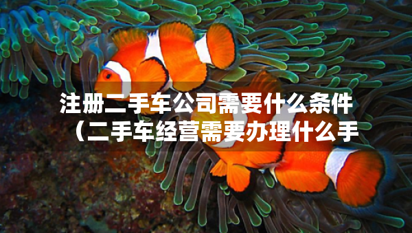 注冊(cè)二手車(chē)公司需要什么條件（二手車(chē)經(jīng)營(yíng)需要辦理什么手續(xù)）