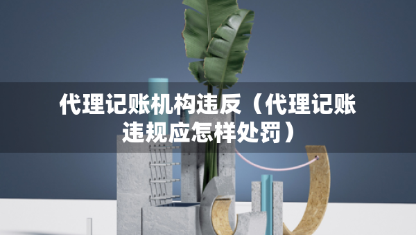 代理記賬機構(gòu)違反（代理記賬違規(guī)應(yīng)怎樣處罰）