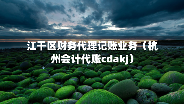 江干區(qū)財(cái)務(wù)代理記賬業(yè)務(wù)（杭州會(huì)計(jì)代賬cdakj）