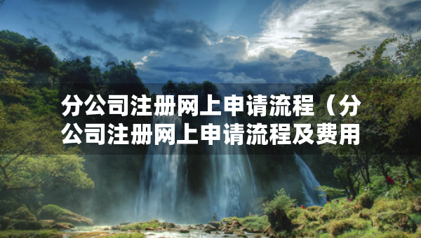 分公司注冊(cè)網(wǎng)上申請(qǐng)流程（分公司注冊(cè)網(wǎng)上申請(qǐng)流程及費(fèi)用）