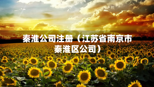 秦淮公司注冊（江蘇省南京市秦淮區(qū)公司）