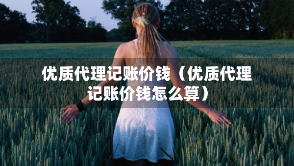 優(yōu)質(zhì)代理記賬價(jià)錢（優(yōu)質(zhì)代理記賬價(jià)錢怎么算）
