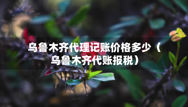 烏魯木齊代理記賬價(jià)格多少（烏魯木齊代賬報(bào)稅）