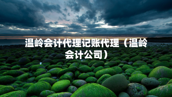 溫嶺會(huì)計(jì)代理記賬代理（溫嶺會(huì)計(jì)公司）