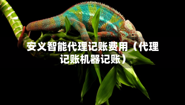 安義智能代理記賬費(fèi)用（代理記賬機(jī)器記賬）