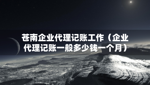 蒼南企業(yè)代理記賬工作（企業(yè)代理記賬一般多少錢一個月）