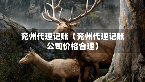 兗州代理記賬（兗州代理記賬公司價格合理）