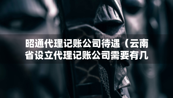 昭通代理記賬公司待遇（云南省設(shè)立代理記賬公司需要有幾個人）