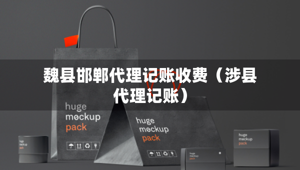 魏縣邯鄲代理記賬收費（涉縣代理記賬）