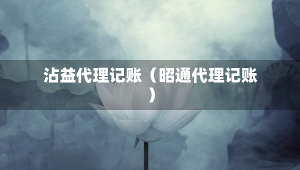 沾益代理記賬（昭通代理記賬）