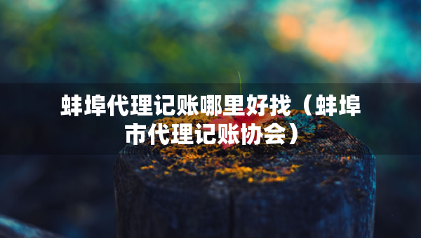 蚌埠代理記賬哪里好找（蚌埠市代理記賬協(xié)會(huì)）