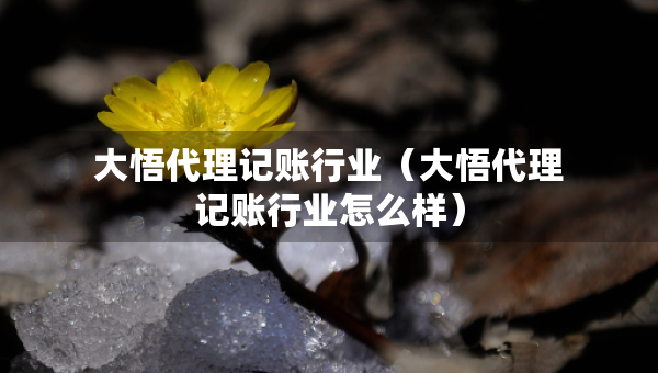 大悟代理記賬行業(yè)（大悟代理記賬行業(yè)怎么樣）