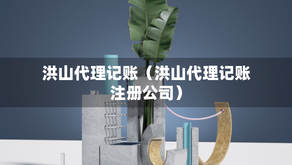 洪山代理記賬（洪山代理記賬注冊公司）
