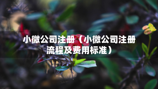 小微公司注冊（小微公司注冊流程及費用標準）