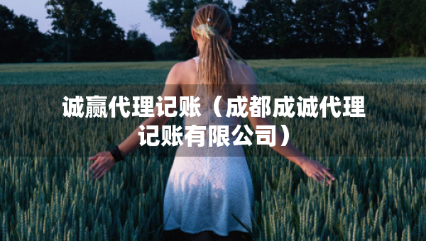 誠贏代理記賬（成都成誠代理記賬有限公司）