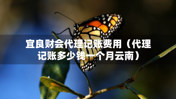 宜良財(cái)會(huì)代理記賬費(fèi)用（代理記賬多少錢(qián)一個(gè)月云南）
