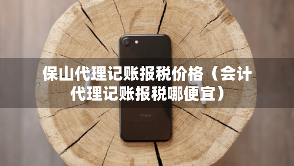 保山代理記賬報稅價格（會計代理記賬報稅哪便宜）