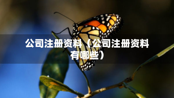 公司注冊(cè)資料（公司注冊(cè)資料有哪些）