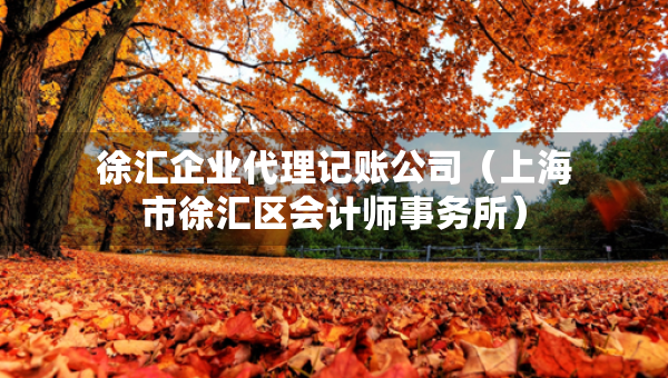 徐匯企業(yè)代理記賬公司（上海市徐匯區(qū)會計師事務(wù)所）