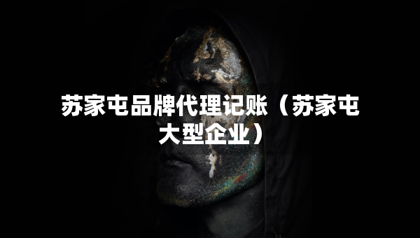 蘇家屯品牌代理記賬（蘇家屯大型企業(yè)）