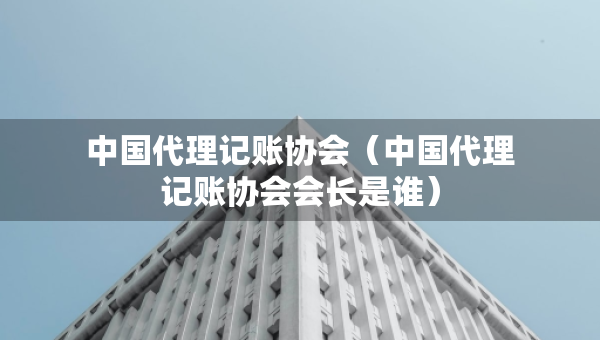 中國(guó)代理記賬協(xié)會(huì)（中國(guó)代理記賬協(xié)會(huì)會(huì)長(zhǎng)是誰(shuí)）