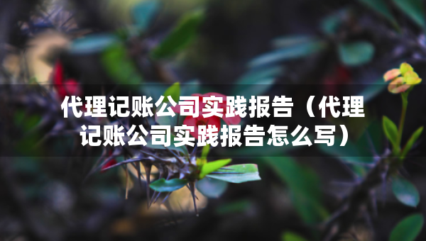 代理記賬公司實踐報告（代理記賬公司實踐報告怎么寫）