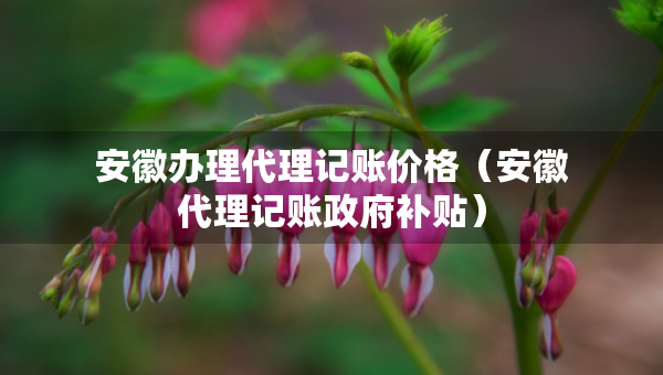 安徽辦理代理記賬價格（安徽代理記賬政府補貼）